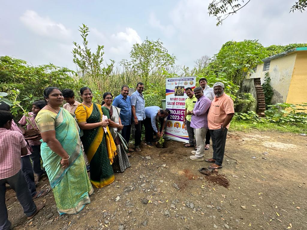 Tree Plantation